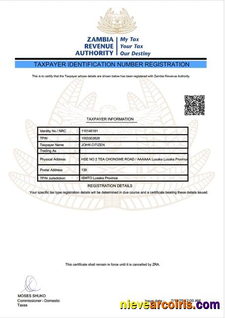 Zambia taxpayer identification number registration